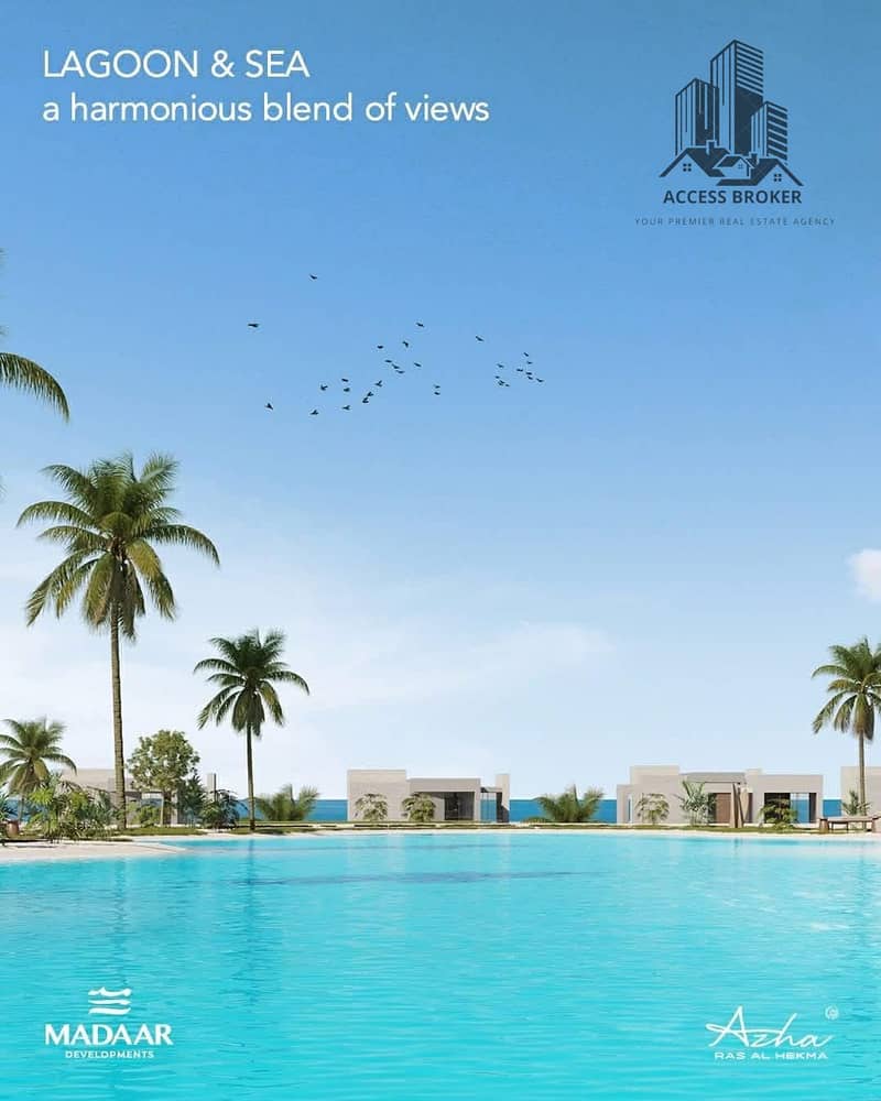 5 32b60427-72cc-4ba0-8cde-4e20ce9e8cda. jpg