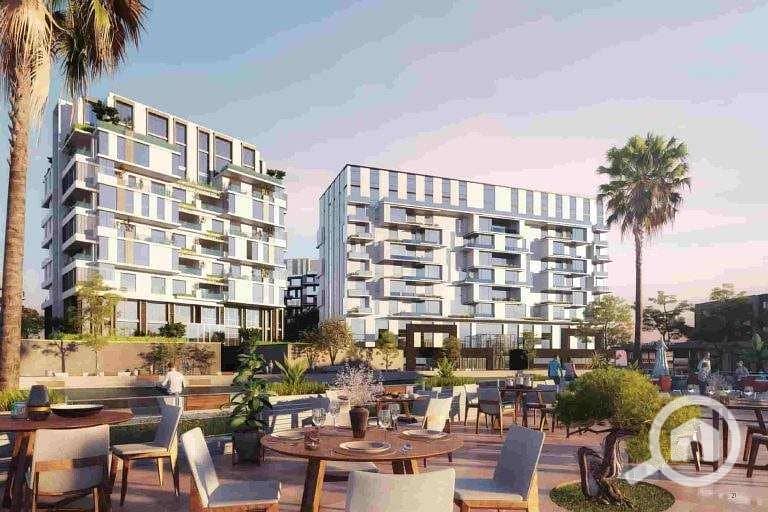 9 اركان-بالم. jpg