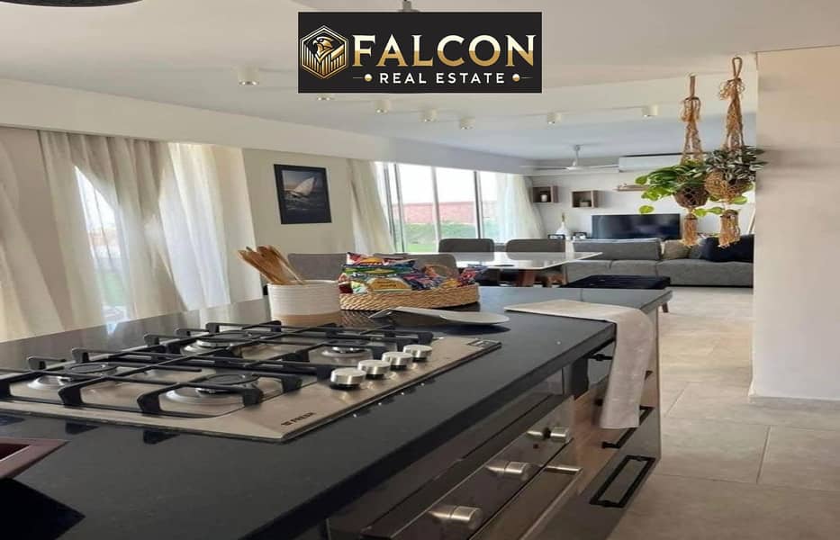 4 475448734_596405539768316_411158102572762576_n. jpg