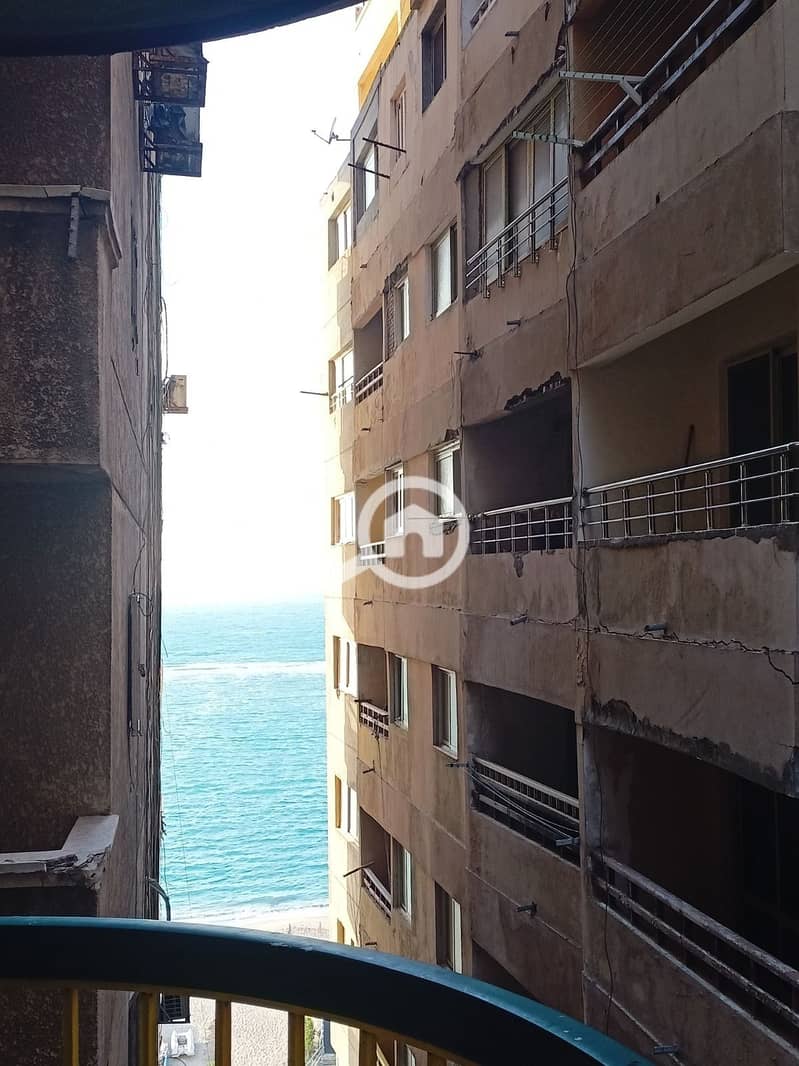 2 9d2c4d79-99cf-4ae9-85df-ed333277216a. jpg