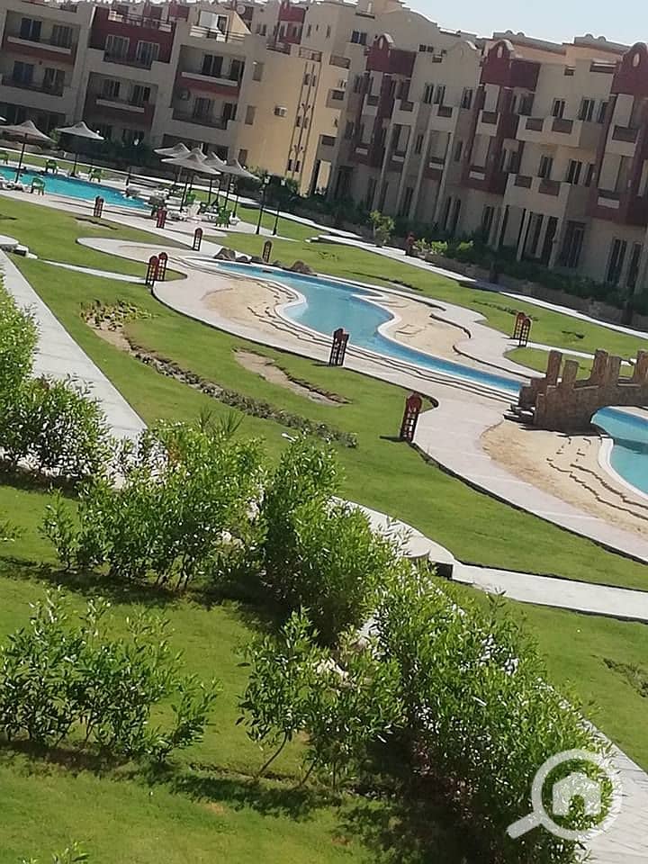 8 38491888_630470510671893_72765365993603072_n. jpg