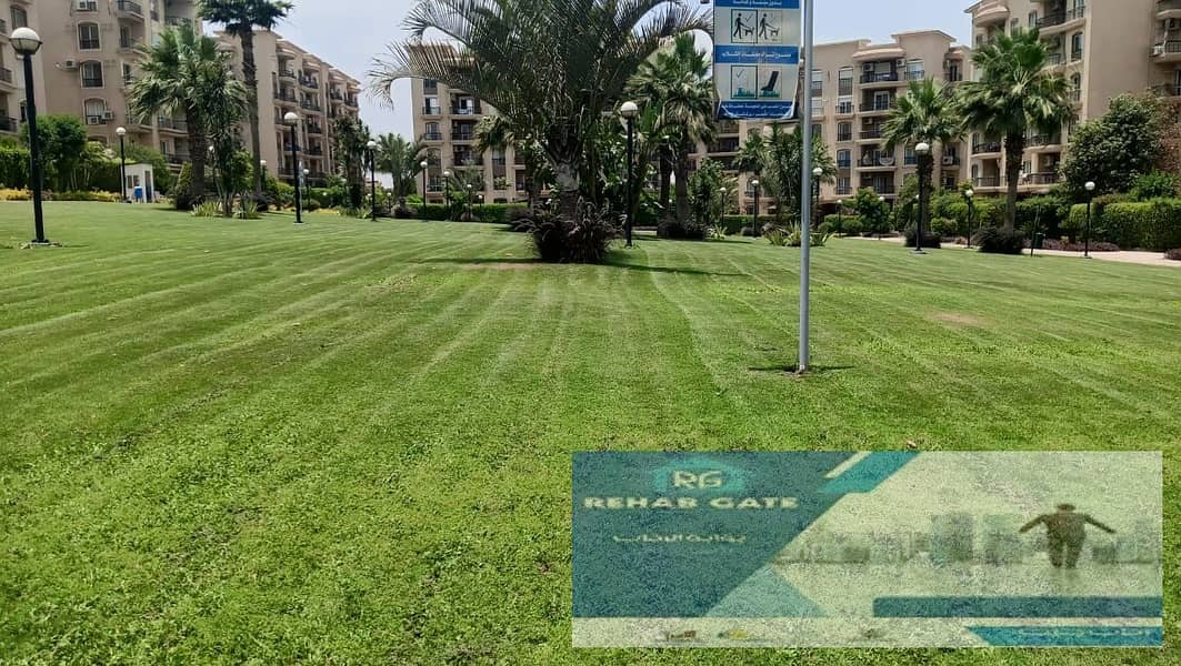 3 c91e99cc-ab09-44d3-af8d-99737cea7db6. jpg