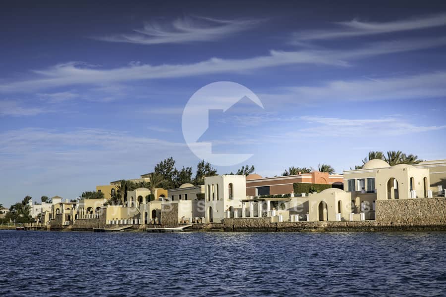 2 C03A9464-Edit. jpg