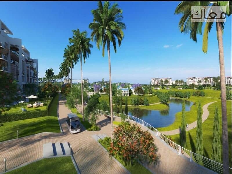 10 80b8accc-8ee9-43d7-a89f-fe583eeaa19d. jpeg