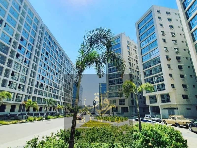 4 476383692_122192559542247386_658741703465707226_n. jpg