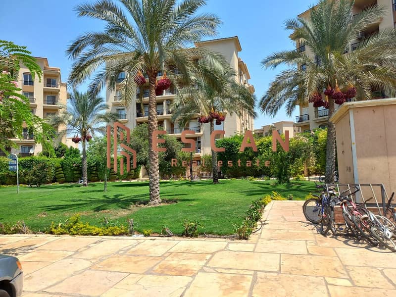 11 U716610 (5). jpeg