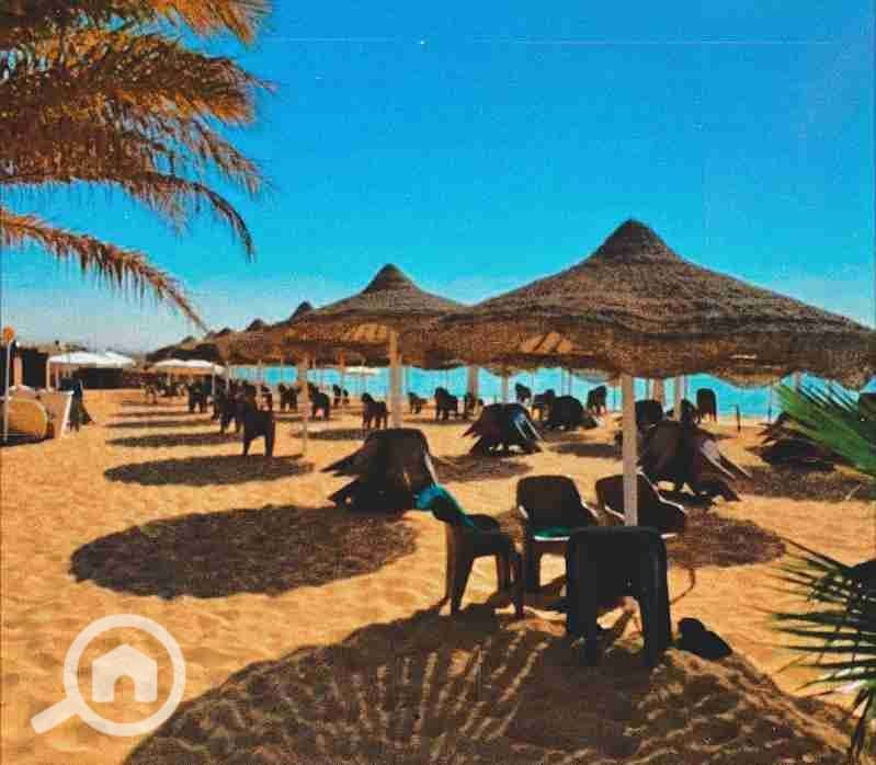 1000012853. jpg 1000012853. jpg