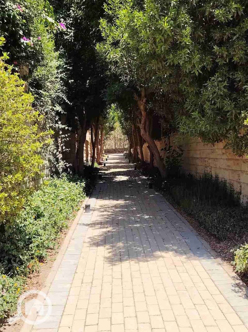 10 IMG_20251012_003212_877. jpg