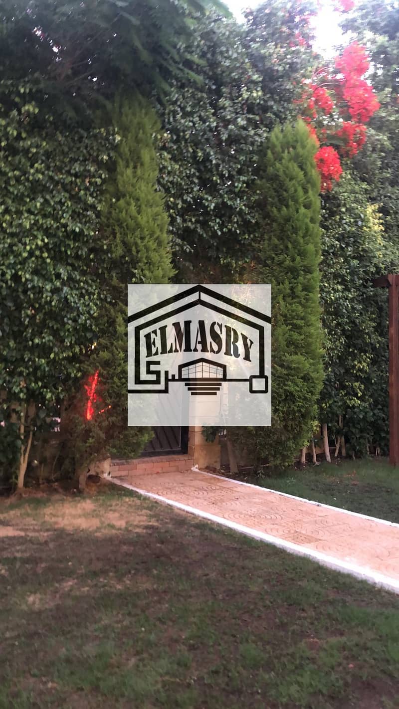 11 fb208a64-5fa7-4f51-9e06-2eb73e9b8cb2. jpg