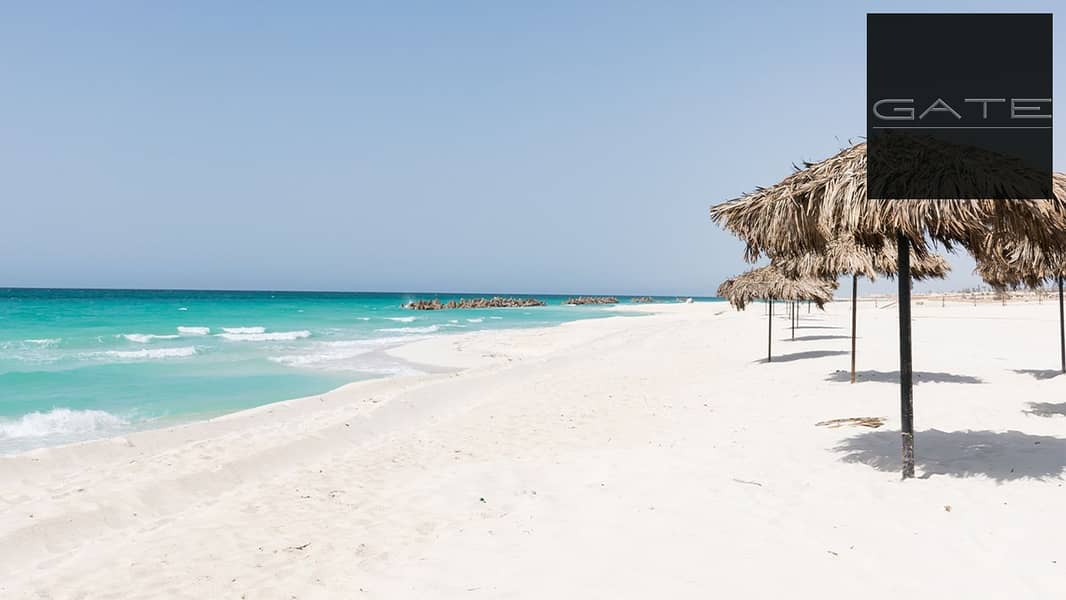 6 WhatsApp Image 2025-09-17 at 3.21. 10 PM (2). jpeg