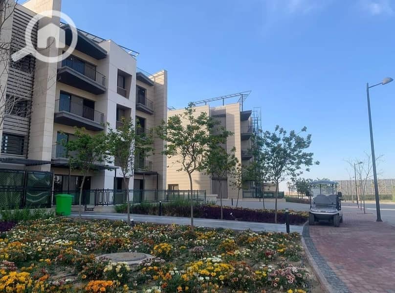 4 WhatsApp Image 2024-12-19 at 1.38. 36 PM (1). jpeg