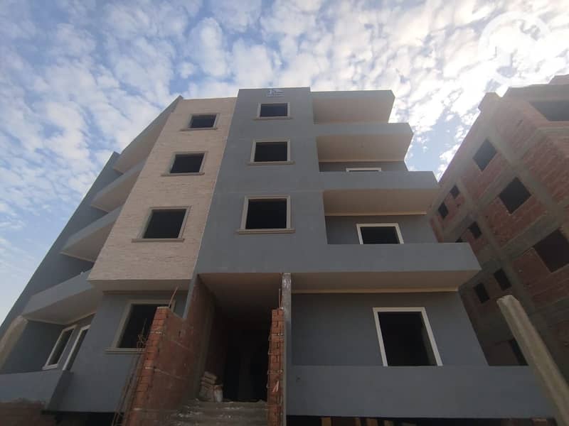 4 029d0493-d33d-4f60-8021-ccf869201daa. jpg