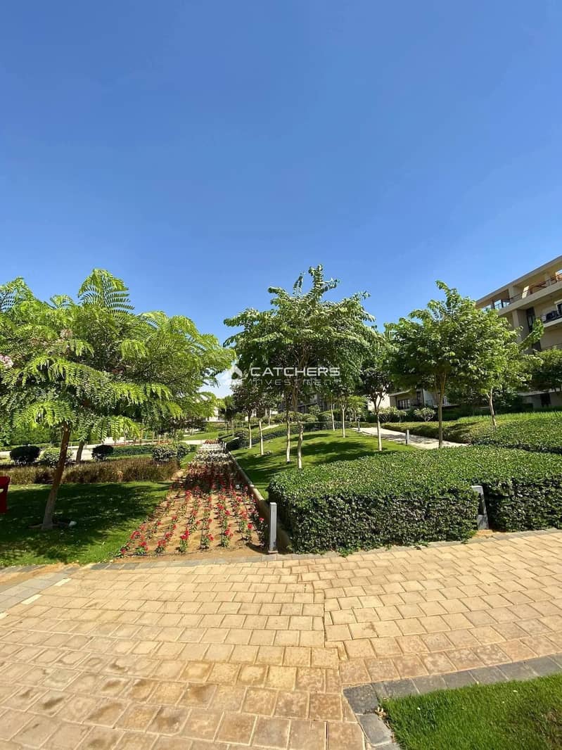 6 584559149_1977948733117628_3858762535364974270_n. jpg