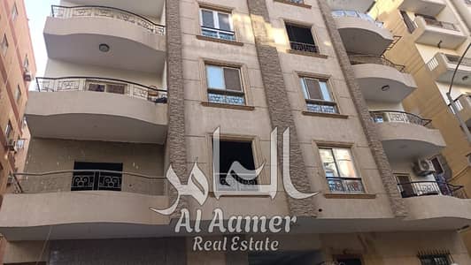 فلیٹ 3 غرف نوم للبيع في زهراء المعادى، القاهرة - WhatsApp Image 2025-12-01 at 11.51. 29 AM. jpeg