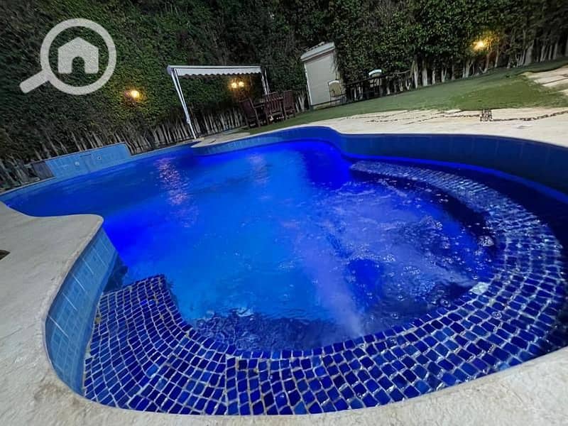 12 47dd299e-f660-42d5-8cce-df4f4a05a836. jpg