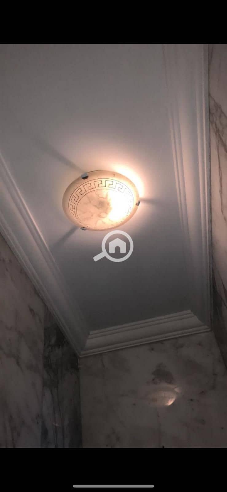 10 f12ef4f5-b134-4900-828f-d177f3b8501e. jpeg