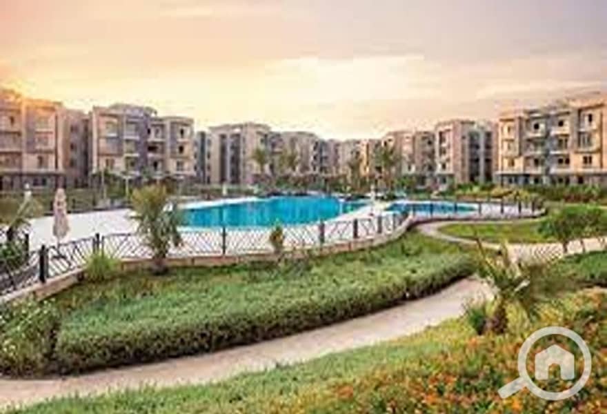 7 dd6905d1-ea21-4772-bbf2-f50ab7f94820. jpg