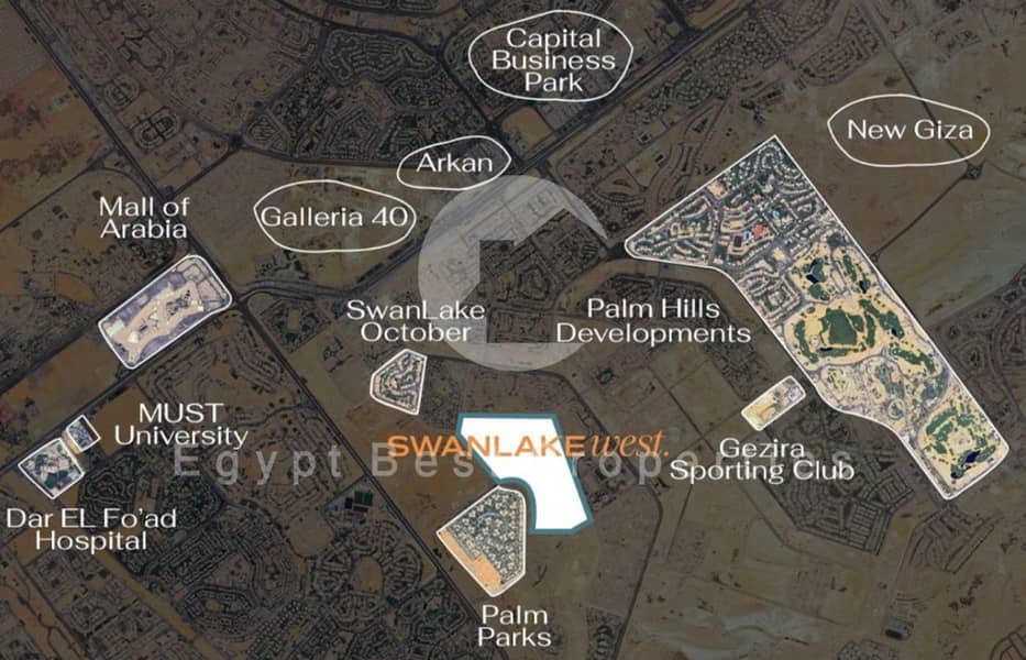 10 b9072237-488a-4981-adb1-a046ce920282. jpeg