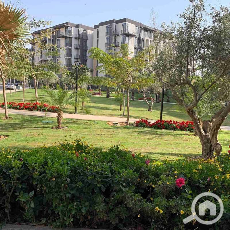 4 IMG-20251204-WA0025. jpg