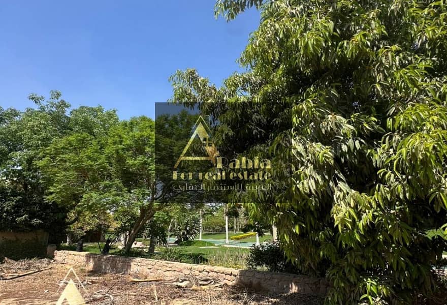 3 671f36bc-6ace-48dc-86d4-130fe7300141. jpg