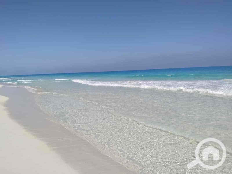 13 fa42f2f9-7998-4c2c-9aad-acd819903195. jpg