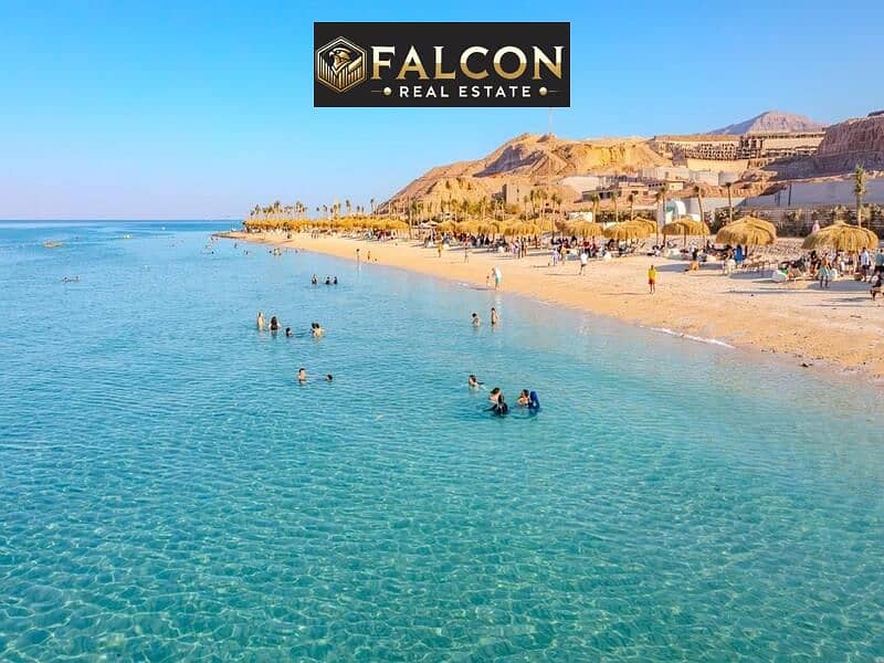 5 WhatsApp Image 2024-10-20 at 3.14. 00 PM (1). jpeg