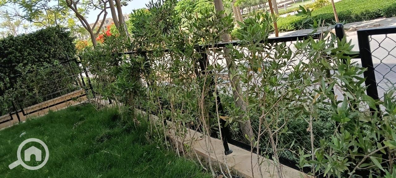 4 2c4216c4-e559-4e29-85b5-710477f0c8a3. jpeg