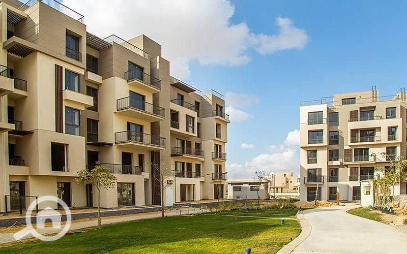 4 photo_2025-03-07_22-52-23. jpg