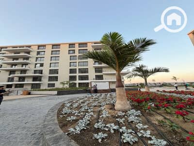 فلیٹ 2 غرفة نوم للبيع في العامرية، الإسكندرية - 12bb7950-8cc5-4249-93d6-be7b7de9b4f2. jpeg فلیٹ 2 غرفة نوم للبيع في العامرية، الإسكندرية - 12bb7950-8cc5-4249-93d6-be7b7de9b4f2. jpeg