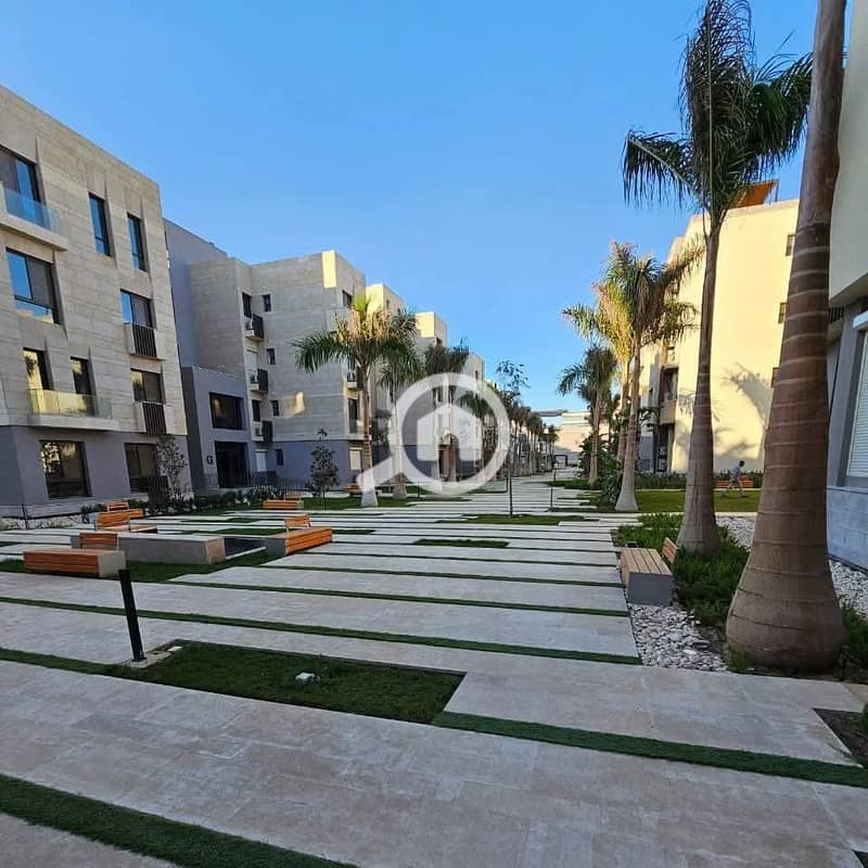 8 482810608_122145728186565108_6686977836746222527_n. jpg