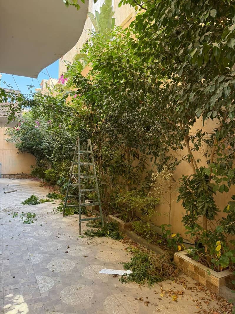 3 photo_2025-12-05 00.43. 09 (1). jpeg