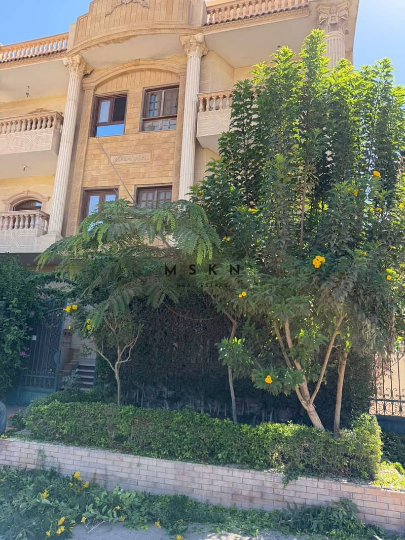 4 photo_2025-12-05 00.43. 07. jpeg