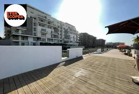 3 Bedroom Apartment for Sale in New Cairo, Cairo - 3844321-317d3o. jpg