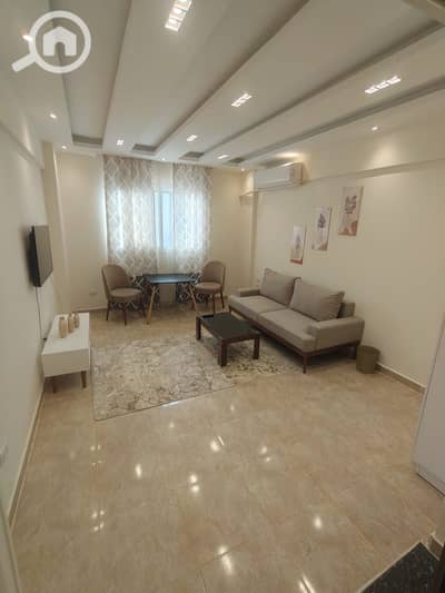 شقة 1 غرفة نوم للايجار في القاهرة الجديدة، القاهرة - 20694e96-0b80-452f-b545-1c25acf0c7ba. jpeg