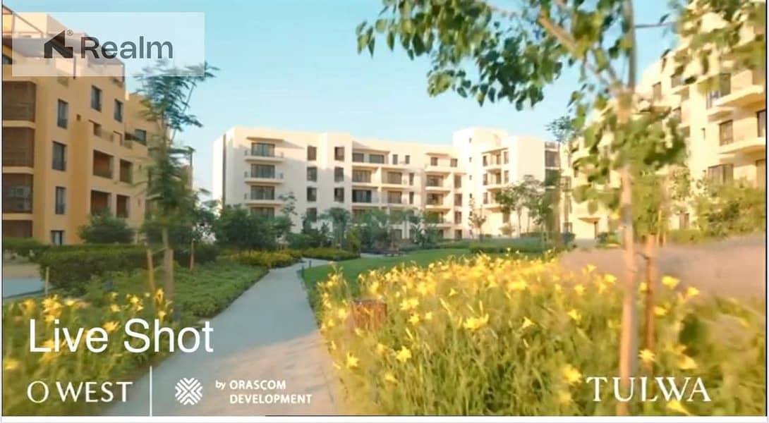 WhatsApp Image 2025-07-04 at 4.09. 04 AM. jpeg