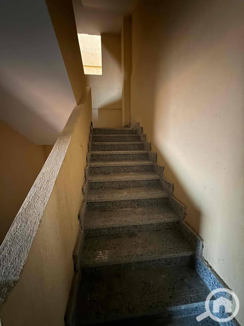 14 cd964c90-de10-4c5b-a3ca-a3e1ce4a1c78. jpg