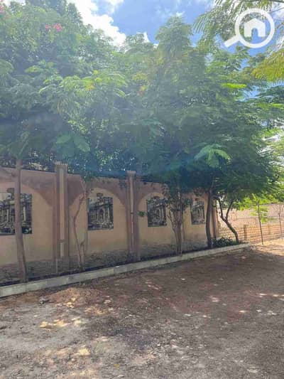 فیلا 6 غرف نوم للايجار في كينج مريوط، الإسكندرية - 108839. jpg