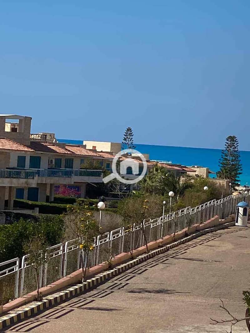 8 df706662-713a-4a0d-b893-6d37fc91c316. jpg