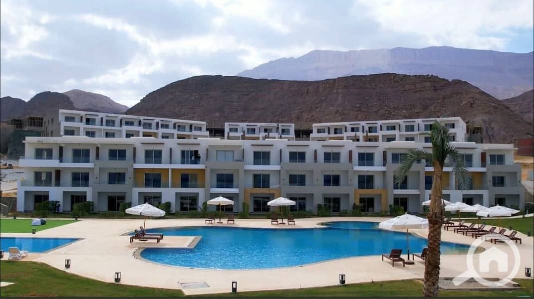 4 928dceb4-4197-4304-ba96-2c337240cb46. jpg