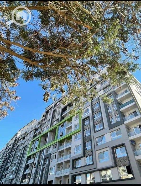 15 WhatsApp Image 2024-09-24 at 18.45. 39_458463a9. jpg