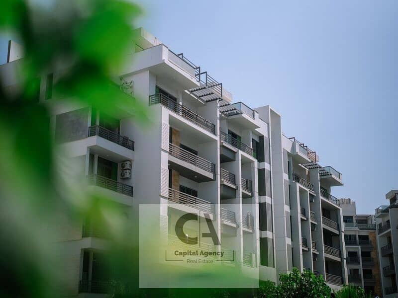 3 WhatsApp Image 2024-02-06 at 3.02. 16 PM. jpeg