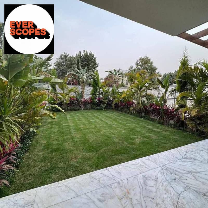 3 589932085_122149451696887054_7425981185866265952_n. jpg