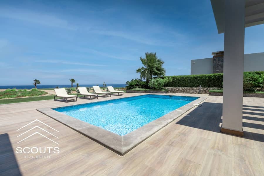 11 d5e915c2-6a29-4efd-8e10-496ff7e482be. jpg