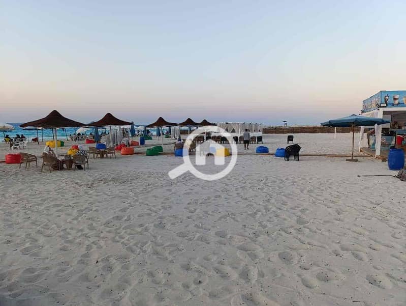 11 ca30e1f1-9f26-41c5-80ef-7e2759f1bb78. jpg