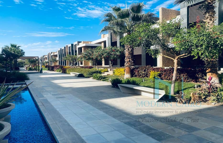 21 11551484-eef5-4a16-943c-85297cb18816. jfif. jpg