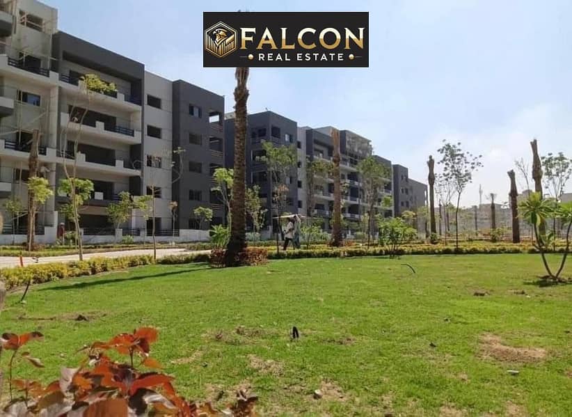 5 560638141_4042470866016511_3464062649255769882_n. jpg