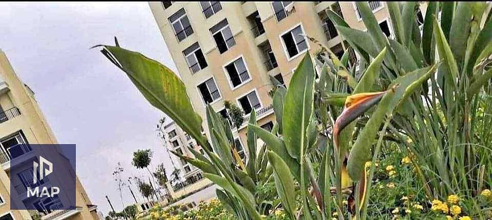 8 410269600_24418677531111866_5006220354059132760_n. jpg