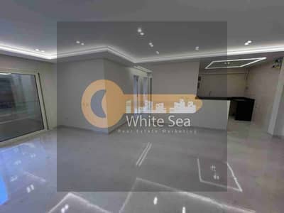 3 Bedroom Flat for Rent in Camp Caesar, Alexandria - 1000858819. jpg
