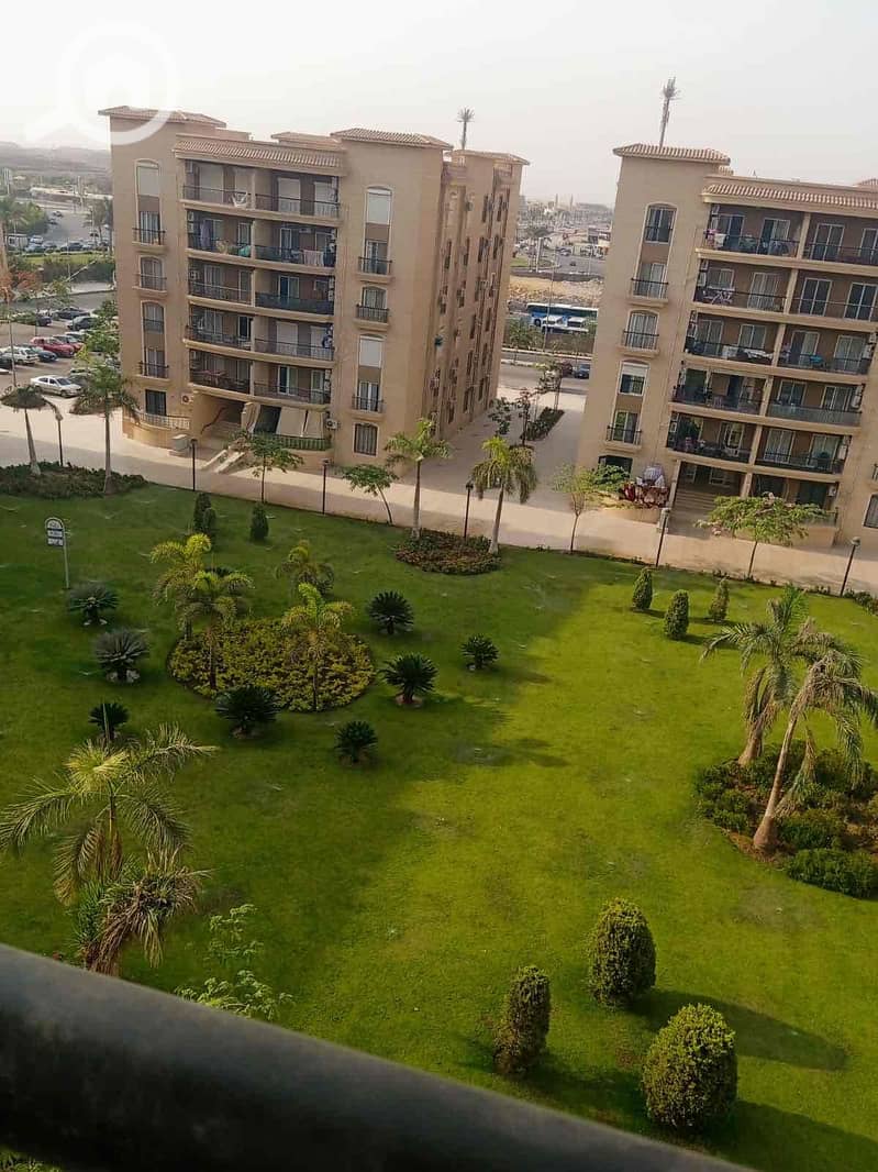 7 43e2329e-d4b4-47a2-9eb5-2bc66e1dc967. jpg