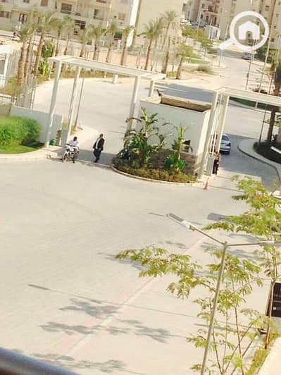 شقة 3 غرف نوم للايجار في الشيخ زايد، الجيزة - 516580974_24630958503157786_6092677220973733397_n. jpg